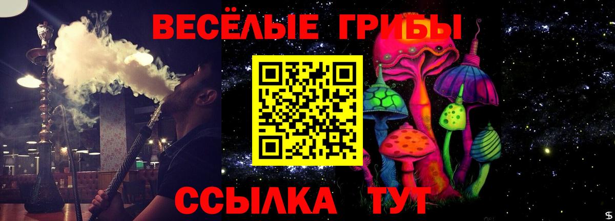 Галлюциногенные грибы Cubensis Дубна